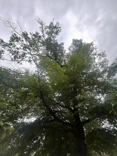 諏訪神社(東京都)