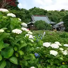 本勝寺(静岡県)