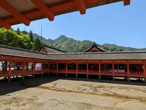 厳島神社の建物その他