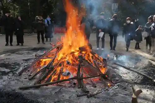賀茂御祖神社（下鴨神社）(京都府)