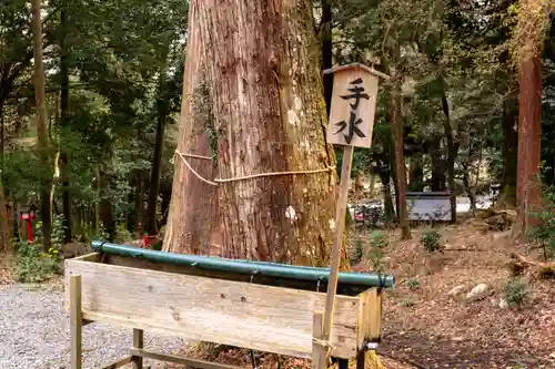日吉大社(滋賀県)