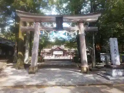 土佐神社(高知県)