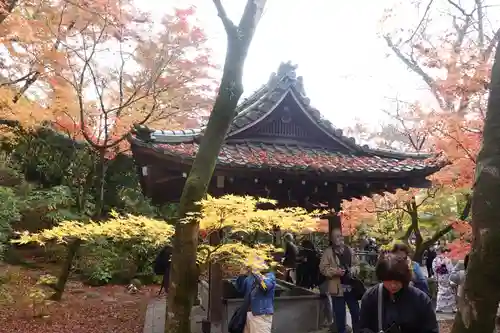 禅林寺（永観堂）(京都府)