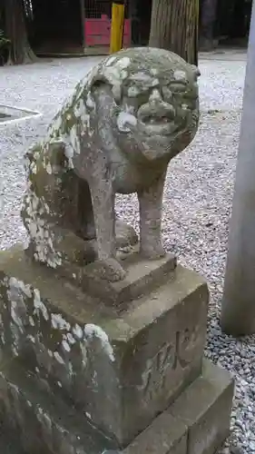 間々田八幡宮の狛犬