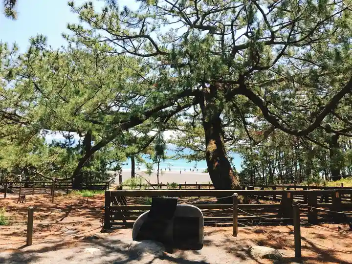 御穂神社の自然