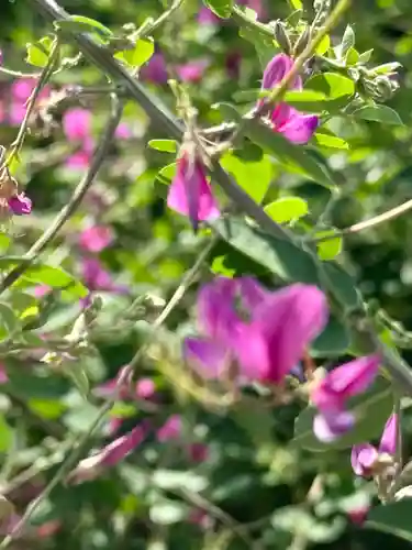 勝念寺（かましきさん）(京都府)