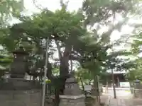 金蓮院(東京都)