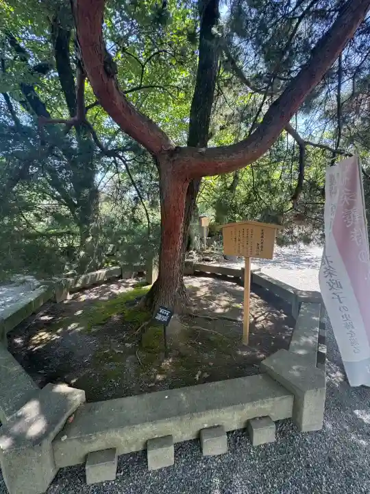 三嶋大社(静岡県)