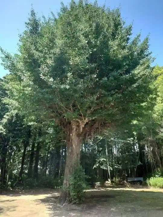 神岡稲荷神社(茨城県)