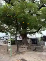 深江稲荷神社(大阪府)