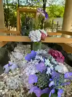 和泉國一之宮 大鳥大社の手水舎