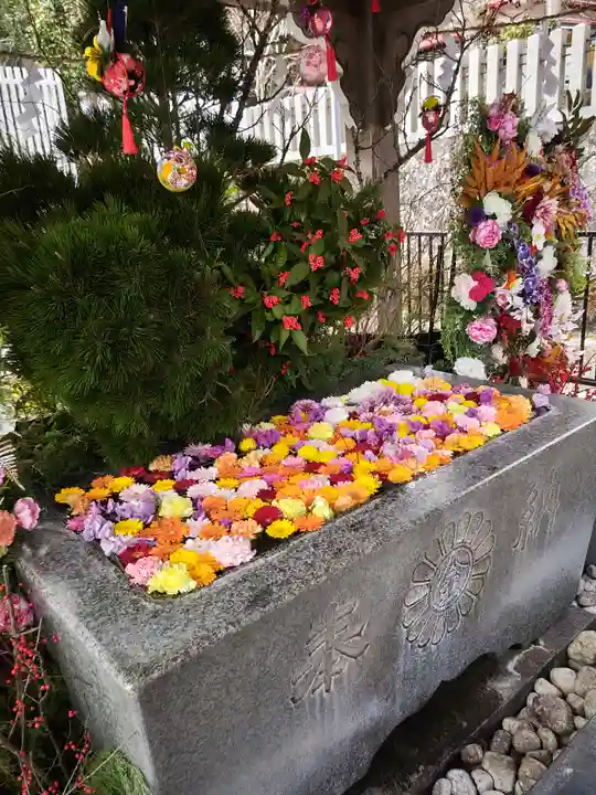 金蛇水神社(宮城県)