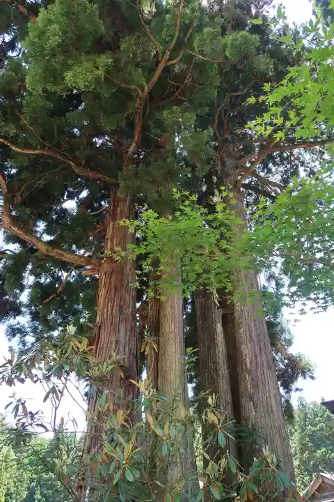 金剛三昧院(和歌山県)