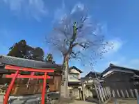 染野稲荷神社(奈良県)