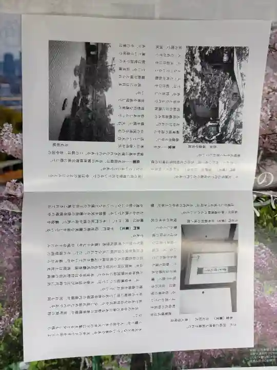 興臨院の{uncategorized: "未分類", other: "その他", undefined: "問題あり", building: "その他建物", grave: "お墓", sacred_gate: "鳥居", guardian: "狛犬", statue: "像", buddha: "仏像", history: "歴史", nature: "自然", garden: "庭園", animal: "動物", pagoda: "塔", temizu: "手水舎", mountain_gate: "山門・神門", sanctuary: "本殿・本堂", subordinate: "末社・摂社", art: "芸術", scenery: "景色", jizo: "地蔵", ema: "絵馬", goshuin: "御朱印", omikuji: "おみくじ", items: "授与品その他", amulet: "お守り", goshuincho: "御朱印帳", eats: "食事", festival: "お祭り", votive_dance: "神楽", shichigosan: "七五三参", wedding: "結婚式", experience: "体験その他", initially: "初詣", around: "周辺", anti_infection: "感染症対策"}