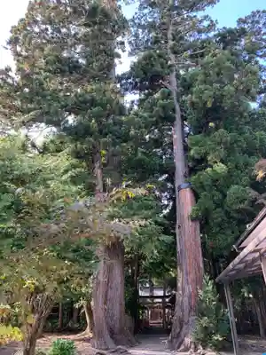 八坂神社のその他建物