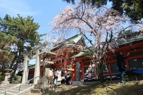 住吉大社の鳥居