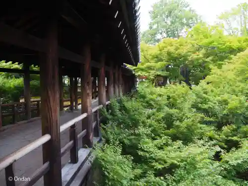 東福禅寺（東福寺）(京都府)