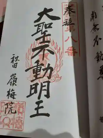 嶺梅院の御朱印 2024年04月