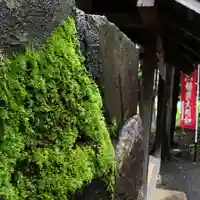 高司神社〜むすびの神の鎮まる社〜の自然