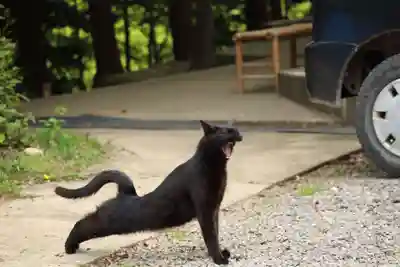玉野御嶽神社(愛知県)