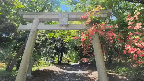 茶釜稲荷神社の鳥居