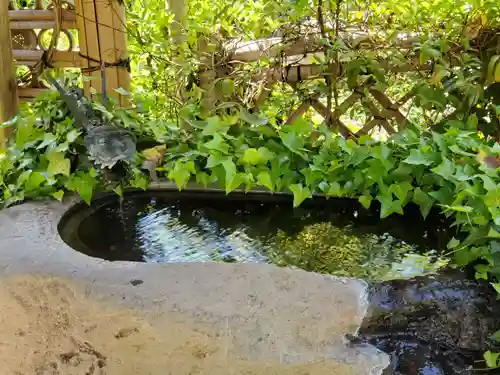 地蔵院の手水舎