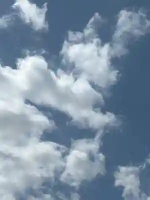 滝野川八幡神社(東京都)