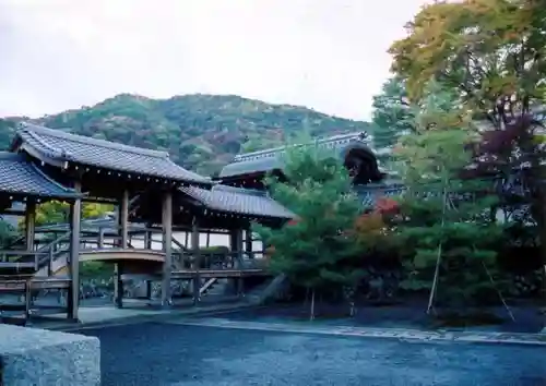 天龍寺の景色