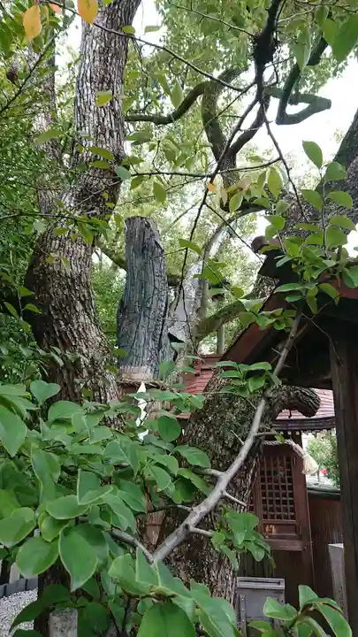 堀越神社の自然
