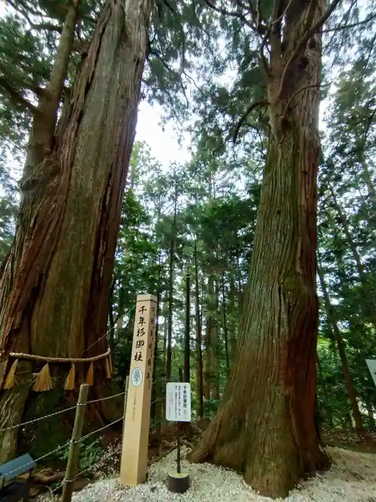 鷲子山上神社(茨城県)