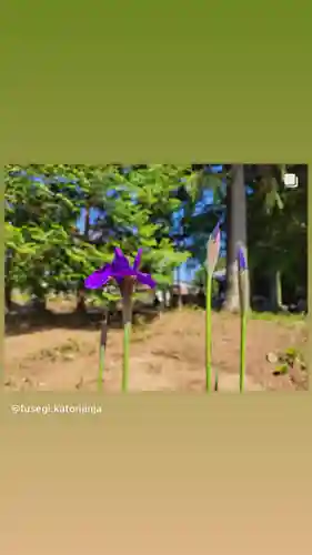 高司神社〜むすびの神の鎮まる社〜(福島県)