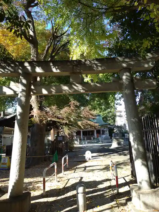 荻窪白山神社(東京都)