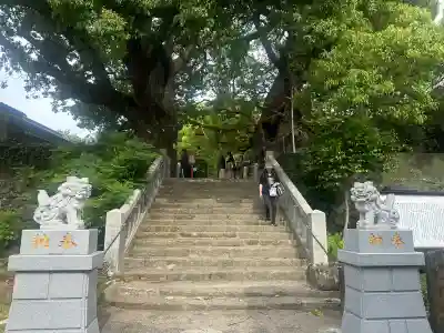 山王神社の{uncategorized: "未分類", other: "その他", undefined: "問題あり", building: "その他建物", grave: "お墓", sacred_gate: "鳥居", guardian: "狛犬", statue: "像", buddha: "仏像", history: "歴史", nature: "自然", garden: "庭園", animal: "動物", pagoda: "塔", temizu: "手水舎", mountain_gate: "山門・神門", sanctuary: "本殿・本堂", subordinate: "末社・摂社", art: "芸術", scenery: "景色", jizo: "地蔵", ema: "絵馬", goshuin: "御朱印", omikuji: "おみくじ", items: "授与品その他", amulet: "お守り", goshuincho: "御朱印帳", eats: "食事", festival: "お祭り", votive_dance: "神楽", shichigosan: "七五三参", wedding: "結婚式", experience: "体験その他", initially: "初詣", around: "周辺", anti_infection: "感染症対策"}