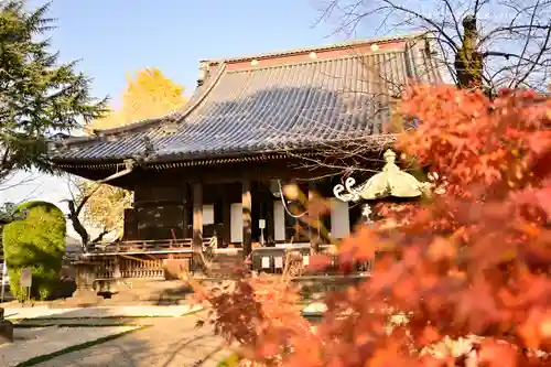 寛永寺(根本中堂)の本殿・本堂