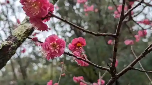 長岡天満宮(京都府)