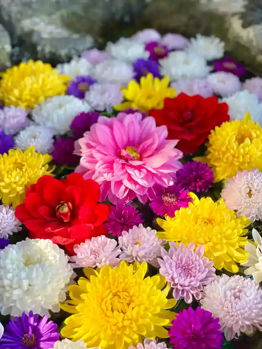 伊達神社の手水舎