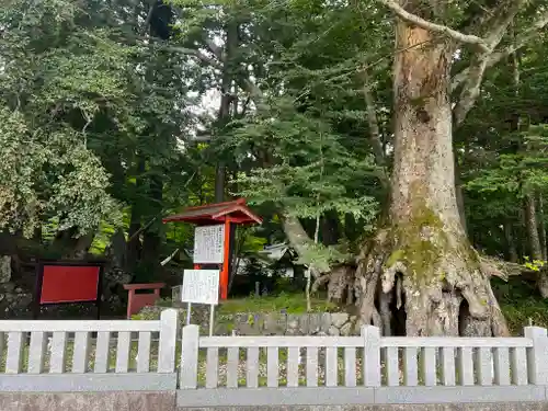 富士山東口本宮 冨士浅間神社の建物その他