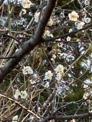 天神社(静岡県)