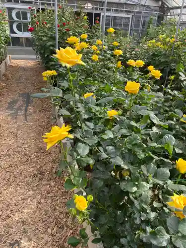 笠間稲荷神社の庭園