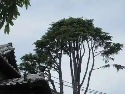 妙行寺(東京都)