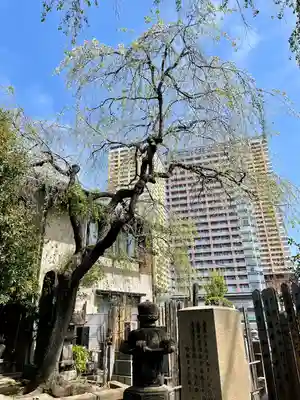 本行寺(東京都)