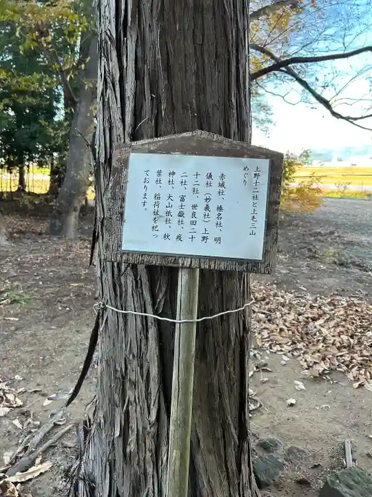 八坂神社(群馬県)