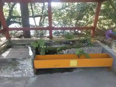 犬丸天満宮の手水舎