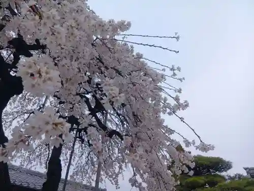 寛立院（曼陀羅寺塔頭）(愛知県)