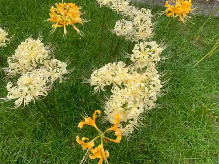 横浜 西方寺の自然