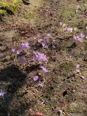 永澤寺(兵庫県)