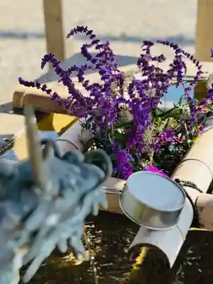 守りの神　藤基神社の手水舎