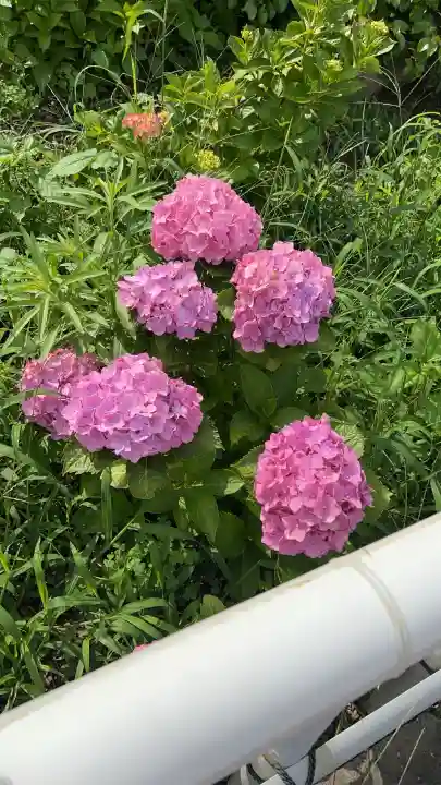 性海寺(愛知県)