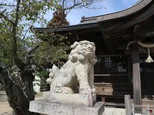 伊和都比売神社の狛犬